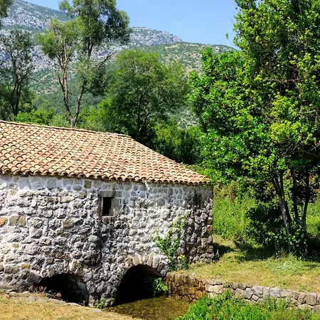 Sele By Vintage Travel *